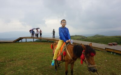 Safe Trail Riding Equipment For Kids And Families ~ ?…