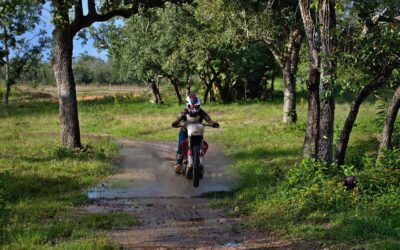 Family Trail Riding | ? Ready To Rumble? Wild Bunch…