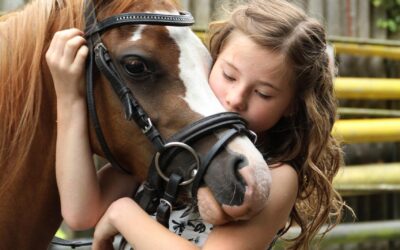 Family Trail Riding – ? Wild Bunch Recreation Rental: Your…
