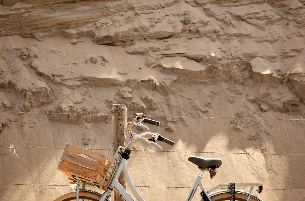 Outdoor Recreation ~ ? Ready To Rumble? Wild Bunch Recreation…