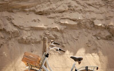 Outdoor Recreation ~ ? Ready To Rumble? Wild Bunch Recreation…